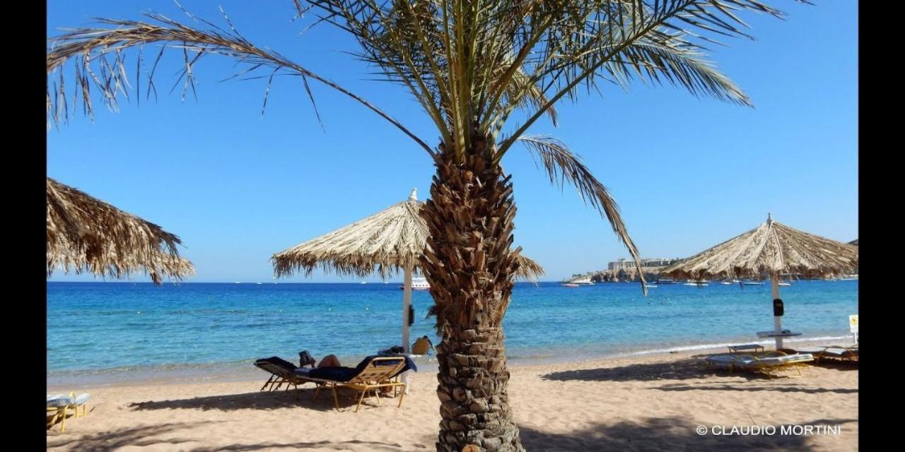 Sharm Dreams Vacation Club - Aqua Park Hotel Exterior photo El Alamein beach